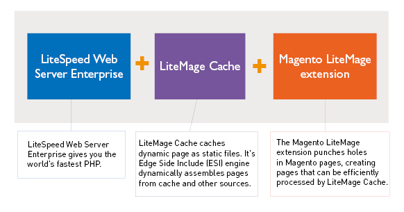 LSWS 5.0 and LiteMage Cache